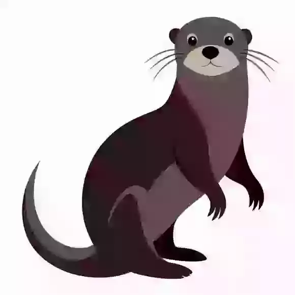 Year 3 Otter Class